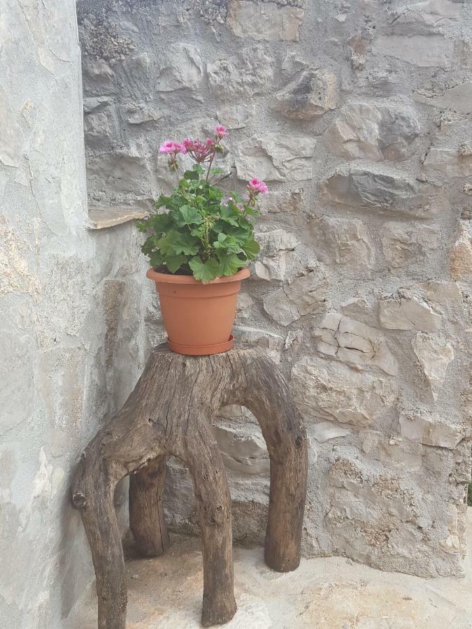 Milasi Villa Cetina מראה חיצוני תמונה