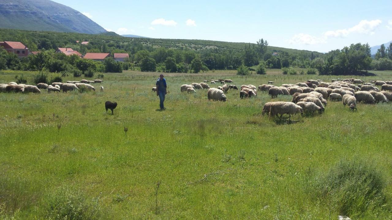 Milasi Villa Cetina מראה חיצוני תמונה
